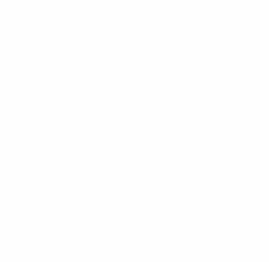 REZCIA METALIZADO 1 E1789312058906 300x292
